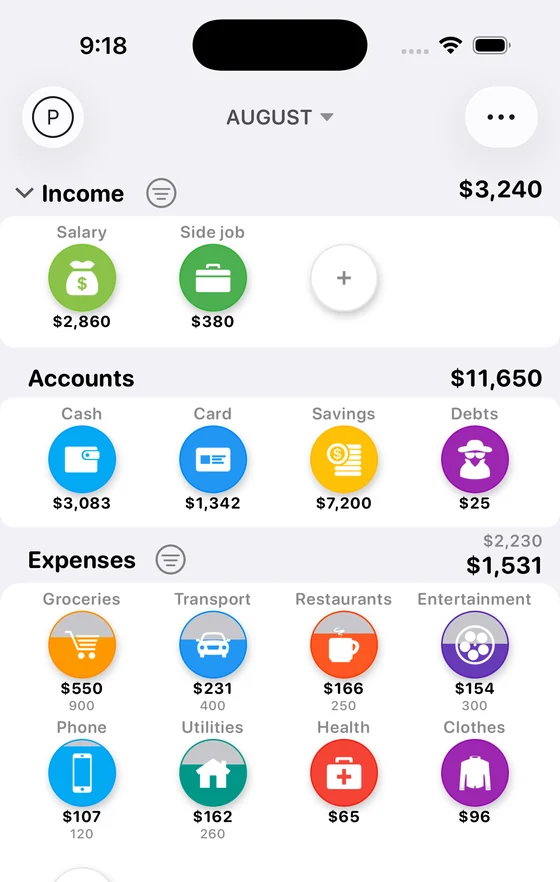 Dashboard: income, wallets and expense categories with their limits
