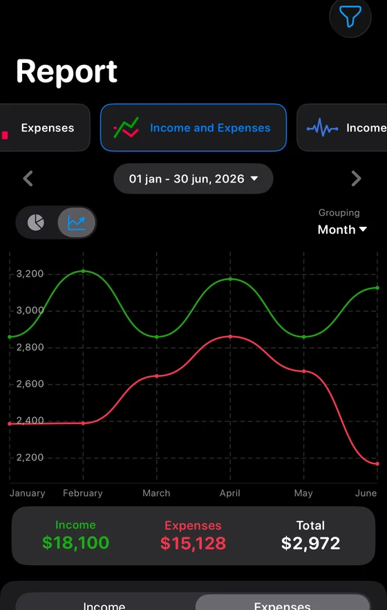 Report: income and expenses as two lines by month